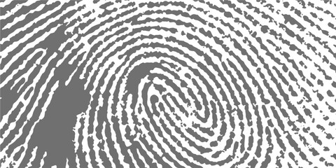 Fototapeta premium Detailed close-up of a human fingerprint pattern, symbolizing identity and security