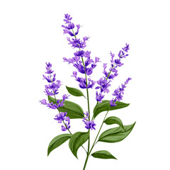 Naklejka premium A herbal plant set, Lavender branch, My Simple flat 2D icon isolated on a white background, flat design, vector, animation design, flat 2D icon, minimalist design. EPS format illustration design set