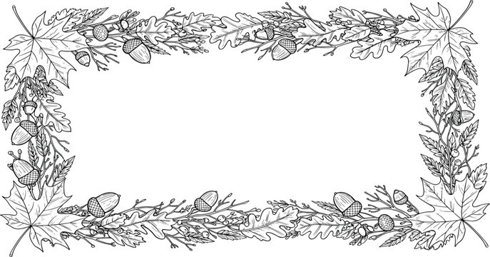 Elegant black and white botanical frame featuring a harmonious arrangement of autumn leaves, acorns, and natural elements, perfect for seasonal designs or decorative borders and headers