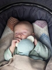 A peaceful three-month-old baby sleeps in a stroller, cuddling a soft teddy bear.

