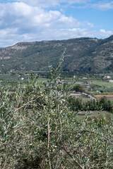 Panorama from the Castello Malaspina (Castello di Serravalle) in the city of Bosa in Sardinia, Italy