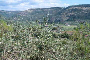 Panorama from the Castello Malaspina (Castello di Serravalle) in the city of Bosa in Sardinia, Italy