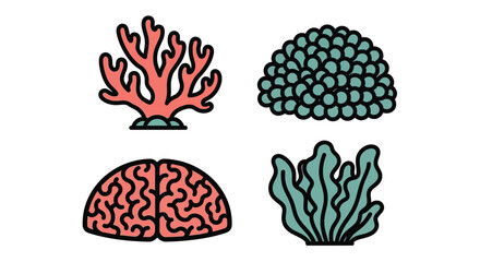 Illustration of four different types of coral on white background editable vector file