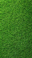 Obraz premium Lush green grass forms a stunning pattern in a peaceful garden. Sunlight dances across the blades, creating a vibrant and inviting outdoor space perfect for relaxation