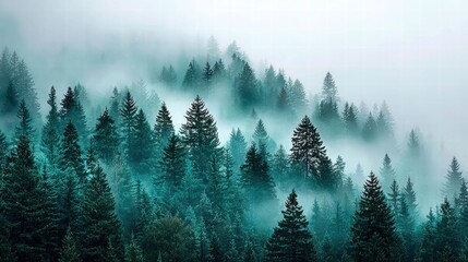 Mystical Forest Scene with Fog
