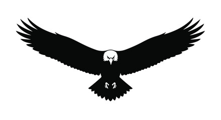 Obraz premium Majestic eagle silhouette in full flight, wings spread wide against a bright background.