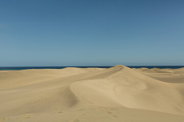 Serene Desert Landscape with Ocean View