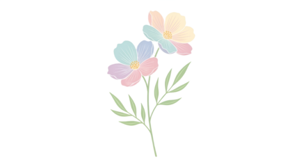 Two delicate, pastel-colored flowers on a single stem bloom gracefully against a black backdrop.