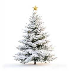 Fototapeta premium Snowy christmas tree white star snow-covered.