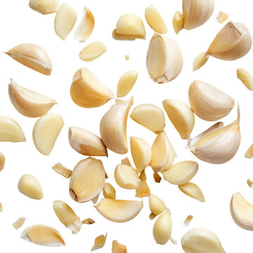 Png of garlic cloves falling and floating isolated on transparent background, aromatic ingredient for cooking and seasoning