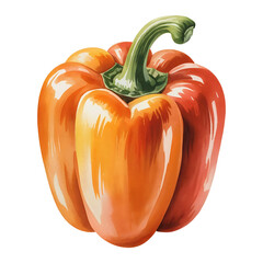 bell pepper capsicum orange and red color