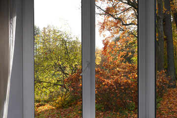  View from the window  on yellow treesin a garden, landscape with autumn forest, window frame.