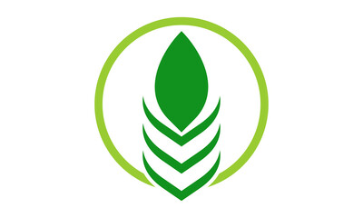 green leaf on the circle logo design