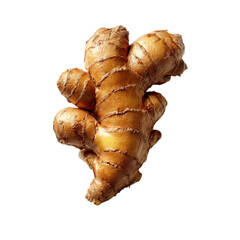 Png of a vibrant ginger root isolated on transparent background, highlighting its knobby texture and earthy brown color