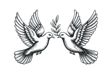 Obraz premium Two Doves with Olive Branch Illustration