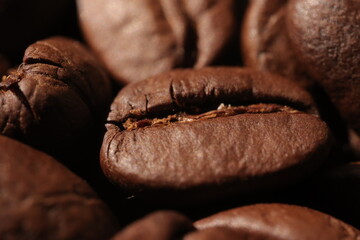 Isolated of coffee bean, Brown roasted coffee beans seeds isolated, coffee bean isolate, white background, bean isolated on white