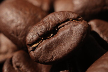 Isolated of coffee bean, Brown roasted coffee beans seeds isolated, coffee bean isolate, white background, bean isolated on white