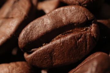 Isolated of coffee bean, Brown roasted coffee beans seeds isolated, coffee bean isolate, white background, bean isolated on white