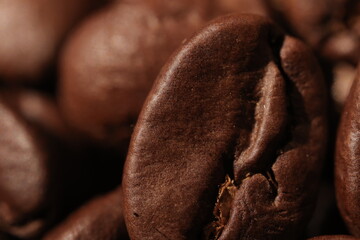 Isolated of coffee bean, Brown roasted coffee beans seeds isolated, coffee bean isolate, white background, bean isolated on white