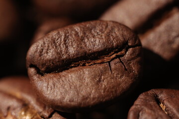 Isolated of coffee bean, Brown roasted coffee beans seeds isolated, coffee bean isolate, white background, bean isolated on white