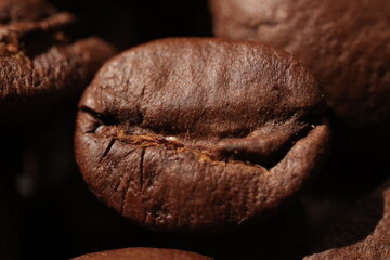Isolated of coffee bean, Brown roasted coffee beans seeds isolated, coffee bean isolate, white background, bean isolated on white