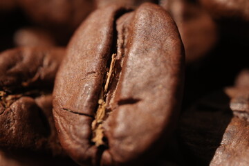 Isolated of coffee bean, Brown roasted coffee beans seeds isolated, coffee bean isolate, white background, bean isolated on white
