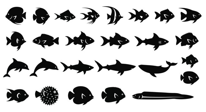 Vector art of diverse collection of fish silhouettes, featuring various species like sharks, dolphins, and tropical fish