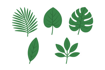 Fototapeta premium Five stylized green tropical plant leaves isolated on white background