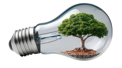 Eco-Innovation: A radiant light bulb embraces a thriving tree, symbolizing sustainable energy and environmental consciousness.