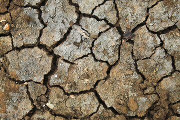 The texture of dry soil is cracked and lumpy.  the earth's surface is rough and natural