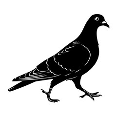pigeon silhouette vector illustration