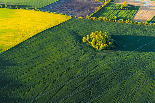 Top down drone view over vast farm land fields in spring time. Agricultural land in Latvia in sunset colors. Crop field textures.