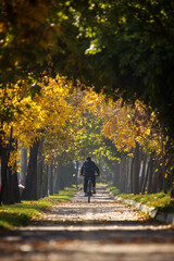 Alee frumoasă înconjurată de copaci în toamnă cu frunze colorate