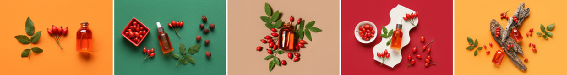 Set of rose hip essential oil on color background, top view