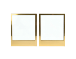 Two golden framed photos, blank white interiors, set against a solid black background