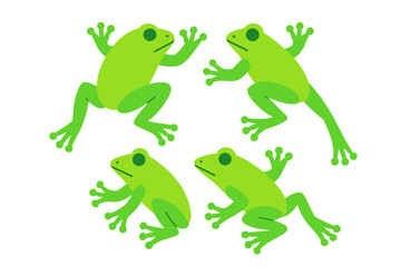 Four bright green tree frogs in dynamic poses