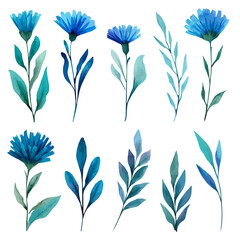 An Icon illustration, Vibrant Chicory Collection isolated on a white background, vector, simple flat 2D icon, minimalist design, EPS, simple illustration	