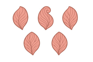 Stylized pinkish brown leaf shapes with detailed vein patterns