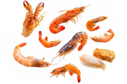 Photo of flying seafoods lobster animal shrimp.