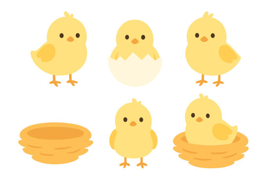 Adorable baby chicks in nests and hatching from eggs collection
