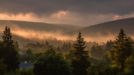 Fototapeta premium Mountain valley mist at sunrise, golden light illuminating a distant village and spruce trees