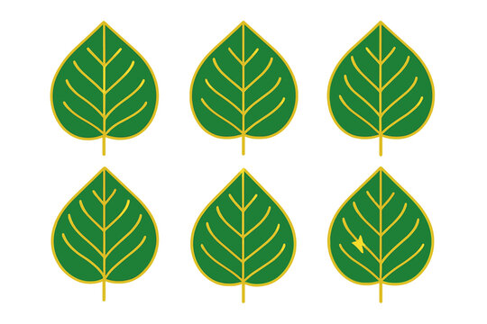 Six stylized green leaves with yellow outline and detailed veins
