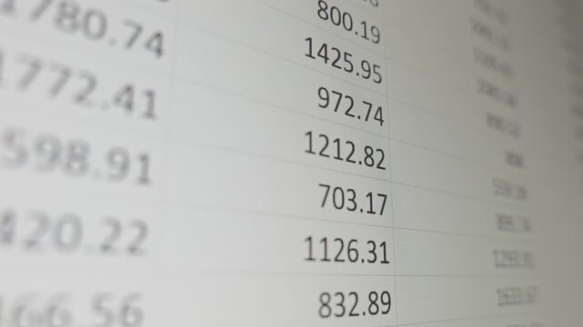 Detailed view of financial data from a spreadsheet