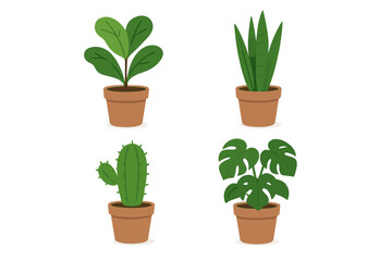 Obraz premium Four potted house plants including cactus and tropical varieties