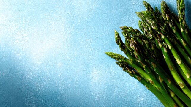 A collection of fresh asparagus stalks arranged beautifully on a soft blue background, emphasizing vibrant colors and healthy ingredients, suitable for culinary aesthetics.