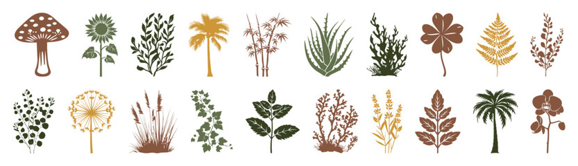 Plant silhouettes black vector collection. Set of silhouette plants, flowers, herbs, shrub, weed, greenery flora line drawing set in side view. Monochrome vector illustrations, transparent background