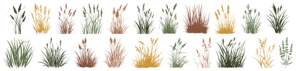 Naklejka premium Set of ground cover elements. Grass line cad and silhouette. Bush grass shrub herb silhouette vector transparent background. Natural, eco, bio, organic. Illustration architectural element, side view
