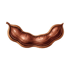 Watercolor-style tamarind illustration