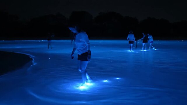 People walk and wade through a bioluminescent bay at night, their movements igniting glowing blue phytoplankton that streak and shimmer across the dark water surface