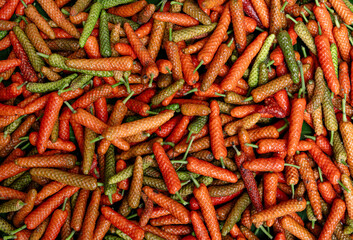 Thippilli also known as Indian long peppers